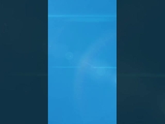 固い質感 アンティークゴールド 個別レースメダル ジョイラン 動物主題のランニング